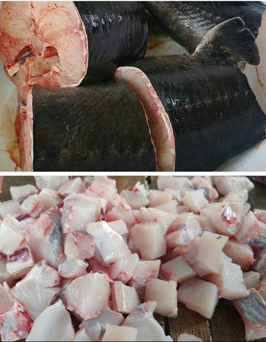 خرید و فروش گوشت ماهی خاویاری دریای خزر