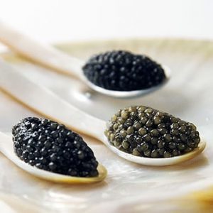 صادرات خاویار درجه ۱